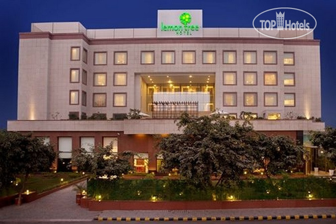 LEMON TREE, CITY CENTER
