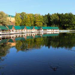 ЛЕСНАЯ СКАЗКА RESORT INN — фото 1