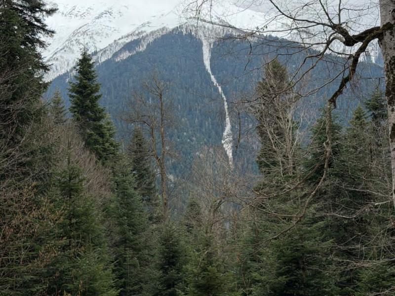 Алса — фото 3