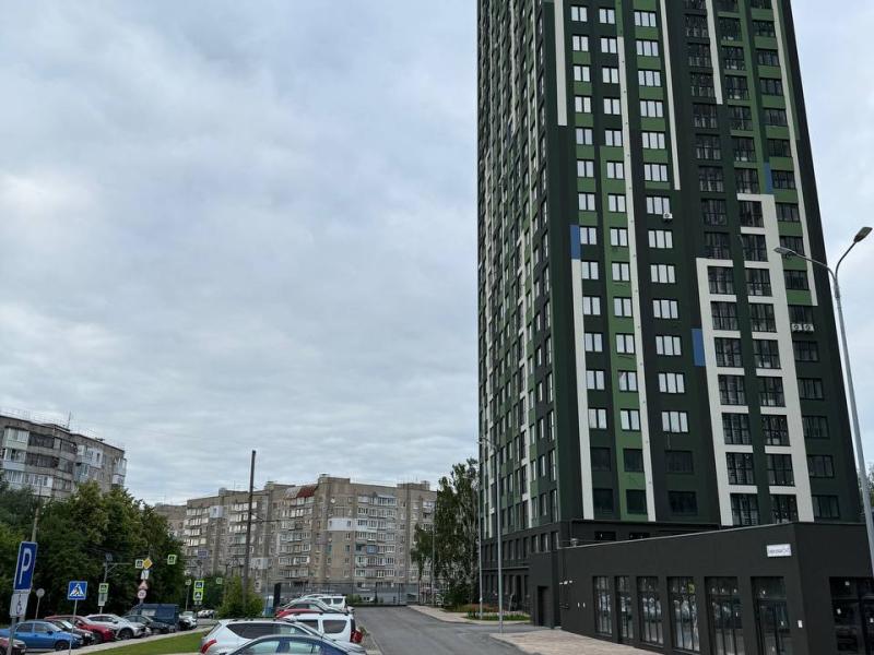 Квартира с видом на берёзовую рощу — фото 1