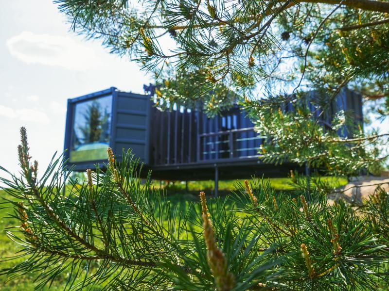 Forrest Home (Форрест Хоум) — фото 2
