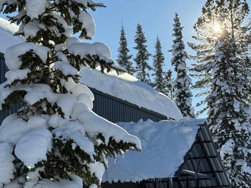 Коттедж FOX HOUSE (Фокс Хаус) на улице Таёжная 33 — фото 2
