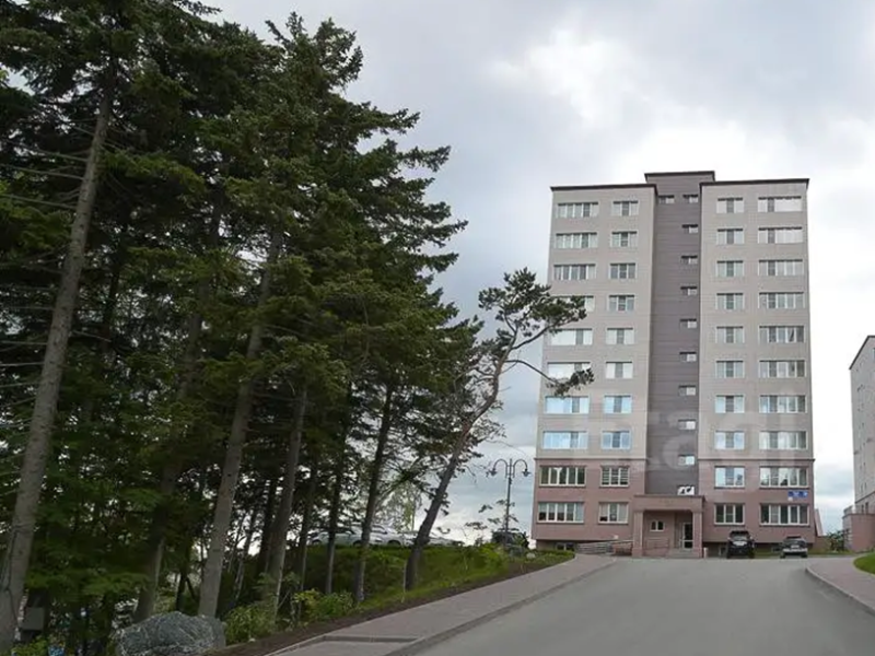 Серебряный Бор