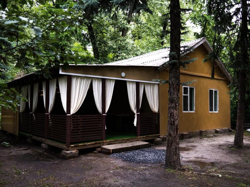 Мечта — фото 1