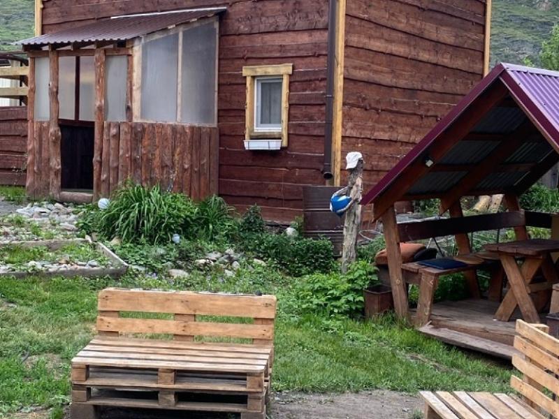 Чижик на улице Дворникова 12А