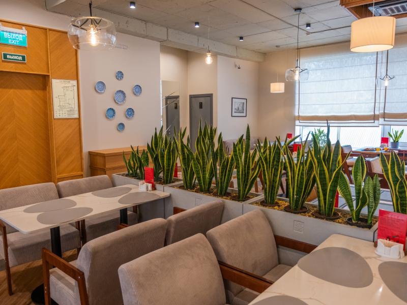 Sanitas Medical Resort&SPA (Санитас Медикал) — фото 3