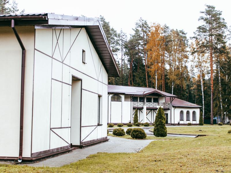 Лесная Чайка — фото 5