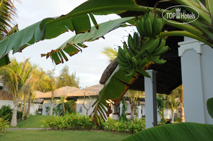 MUINE BAY RESORT PHAN TIET