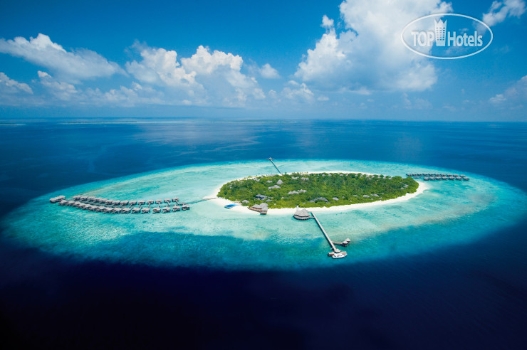 JA MANAFARU DELUXE — фото 1