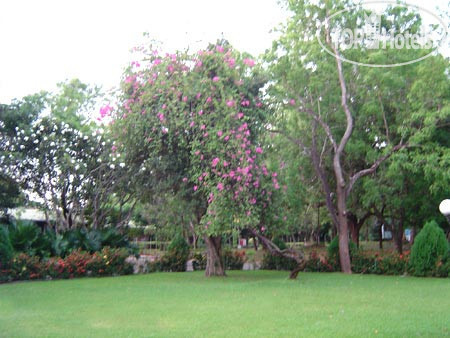 SUDU ARALIYA - POLONNARUWA