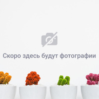 TUNC ZARA (EX. ZARA) — фото 4