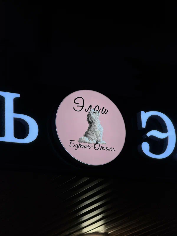 Элси — фото 1